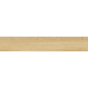 エミネンスタイル2025-2028 エクターパイン シンコール