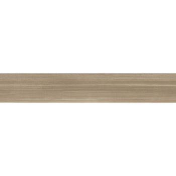 エミネンスタイル2025-2028 エクターパイン シンコール