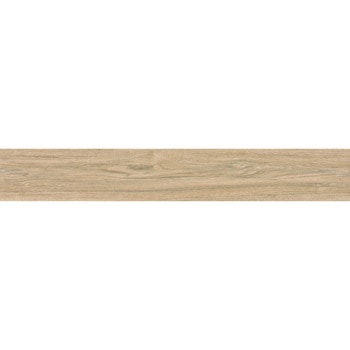 エミネンスタイル2025-2028 シノグルミ シンコール