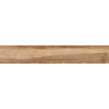 エミネンスタイル2025-2028 シーゼバーチ シンコール