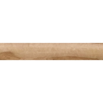 エミネンスタイル2025-2028 シーゼバーチ シンコール