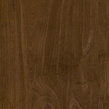 エミネンスタイル2025-2028 ステインウッド シンコール