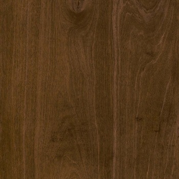 エミネンスタイル2025-2028 ステインウッド シンコール