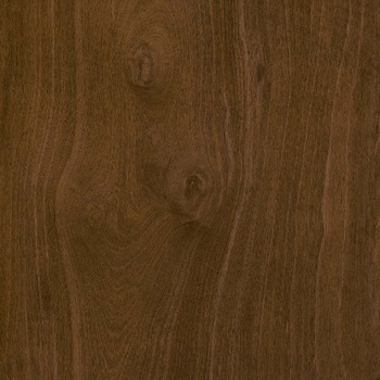 エミネンスタイル2025-2028 ステインウッド シンコール