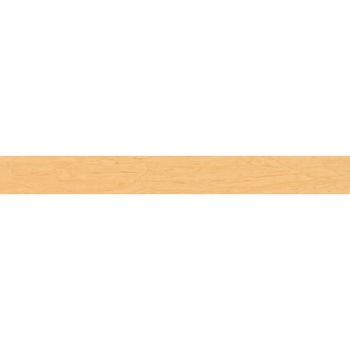 エミネンスタイル2025-2028 メープル シンコール