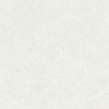 エミネンスタイル2025-2028 シルトストーン シンコール