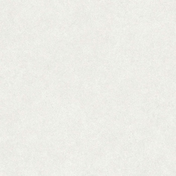 エミネンスタイル2025-2028 シルトストーン シンコール