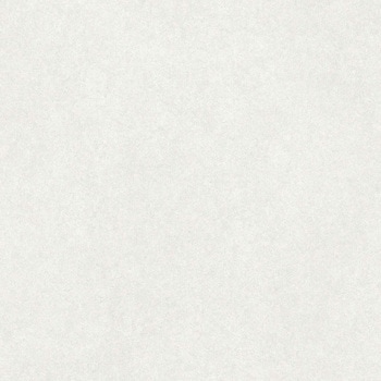 エミネンスタイル2025-2028 シルトストーン シンコール