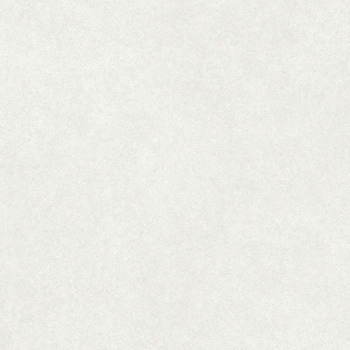 エミネンスタイル2025-2028 シルトストーン シンコール