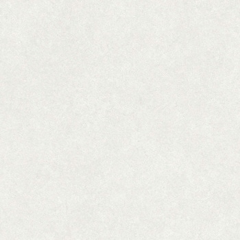 エミネンスタイル2025-2028 シルトストーン シンコール