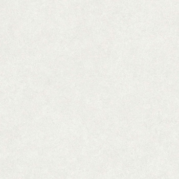 エミネンスタイル2025-2028 シルトストーン シンコール