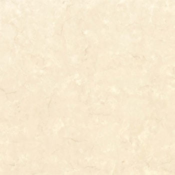 エミネンスタイル2025-2028 ポテチーノ シンコール