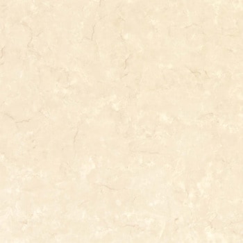 エミネンスタイル2025-2028 ポテチーノ シンコール