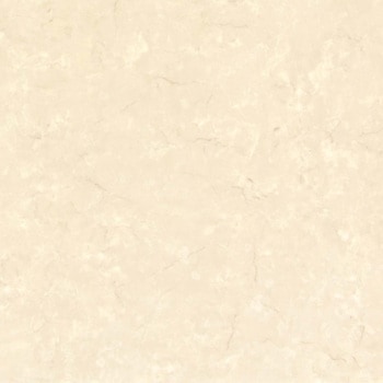 エミネンスタイル2025-2028 ポテチーノ シンコール