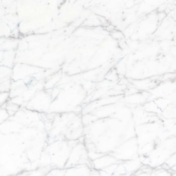 エミネンスタイル2025-2028 ホワイトカララ シンコール