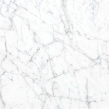 エミネンスタイル2025-2028 ホワイトカララ シンコール