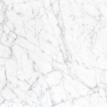 エミネンスタイル2025-2028 ホワイトカララ シンコール