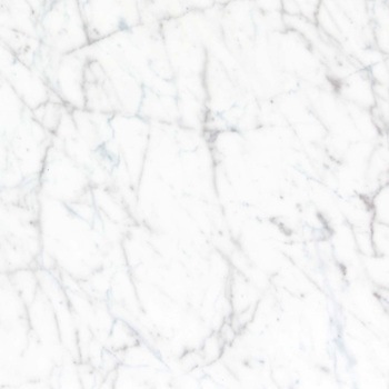 エミネンスタイル2025-2028 ホワイトカララ シンコール