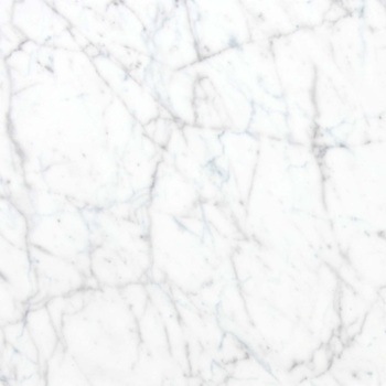 エミネンスタイル2025-2028 ホワイトカララ シンコール