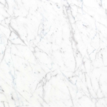 エミネンスタイル2025-2028 ホワイトカララ シンコール