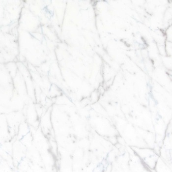 エミネンスタイル2025-2028 ホワイトカララ シンコール