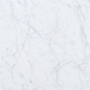 エミネンスタイル2025-2028 ホワイトカララ シンコール