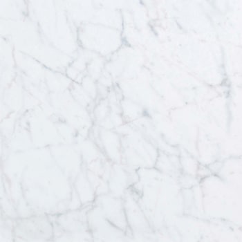 エミネンスタイル2025-2028 ホワイトカララ シンコール