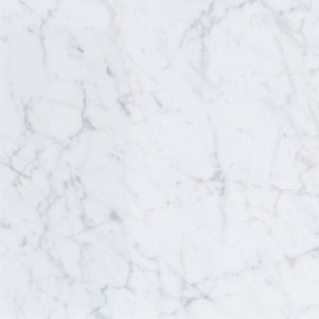 エミネンスタイル2025-2028 ホワイトカララ シンコール