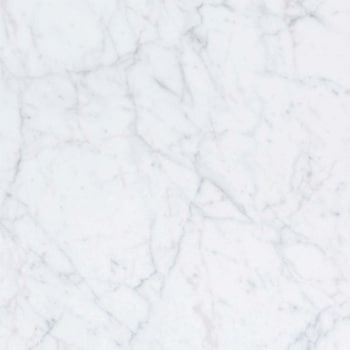 エミネンスタイル2025-2028 ホワイトカララ シンコール