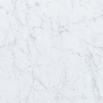 エミネンスタイル2025-2028 ホワイトカララ シンコール