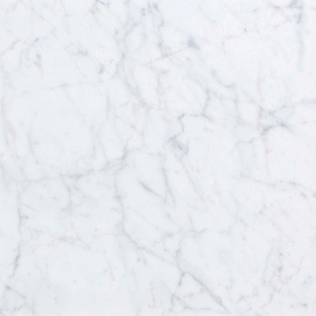 エミネンスタイル2025-2028 ホワイトカララ シンコール