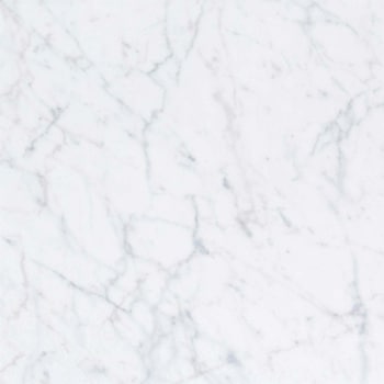 エミネンスタイル2025-2028 ホワイトカララ シンコール