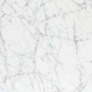 エミネンスタイル2025-2028 ホワイトカララR シンコール