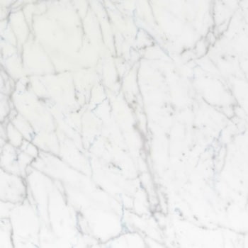 エミネンスタイル2025-2028 ホワイトカララR シンコール