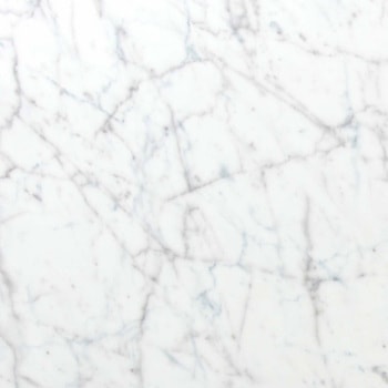 エミネンスタイル2025-2028 ホワイトカララR シンコール