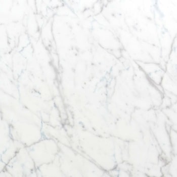 エミネンスタイル2025-2028 ホワイトカララR シンコール