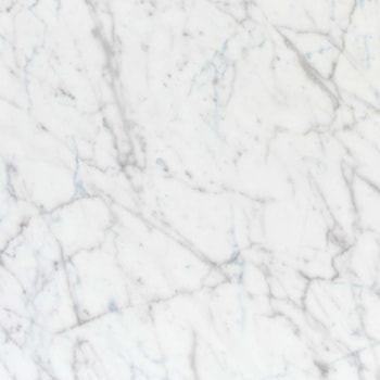 エミネンスタイル2025-2028 ホワイトカララR シンコール