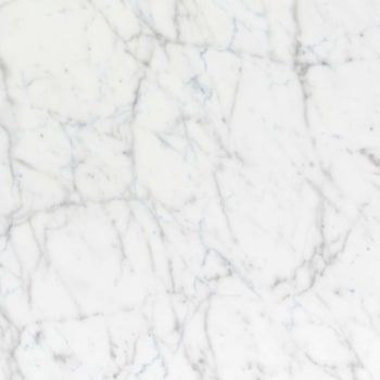 エミネンスタイル2025-2028 ホワイトカララR シンコール