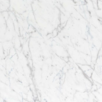 エミネンスタイル2025-2028 ホワイトカララR シンコール