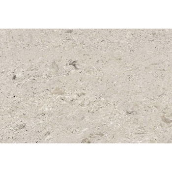 エミネンスタイル2025-2028 アウリジノ シンコール