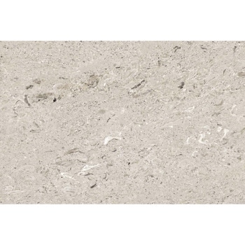 エミネンスタイル2025-2028 アウリジノ シンコール