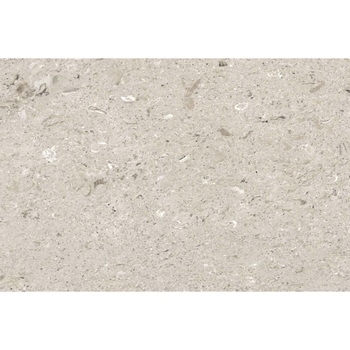 エミネンスタイル2025-2028 アウリジノ シンコール