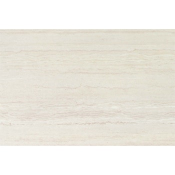 エミネンスタイル2025-2028 セルベジャンテ シンコール