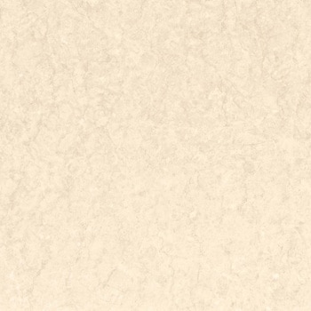 エミネンスタイル2025-2028 ペルチーノ シンコール