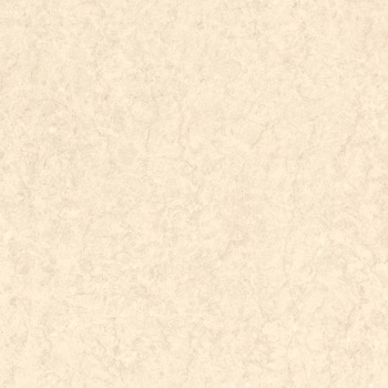 エミネンスタイル2025-2028 ペルチーノ シンコール