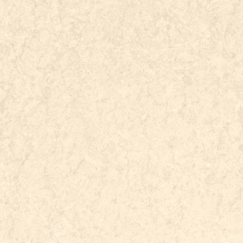 エミネンスタイル2025-2028 ペルチーノ シンコール