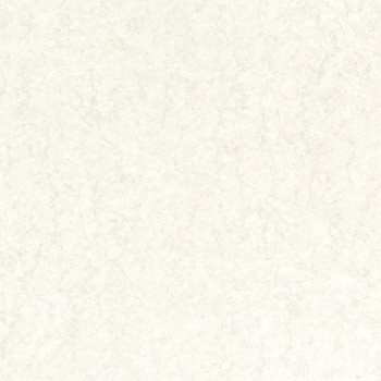 エミネンスタイル2025-2028 ペルチーノR シンコール