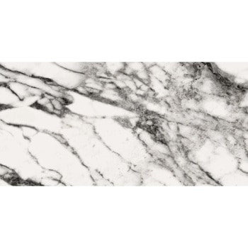 エミネンスタイル2025-2028 ゼブラマーブル シンコール