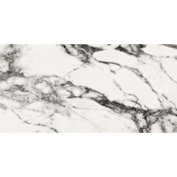 エミネンスタイル2025-2028 ゼブラマーブル シンコール