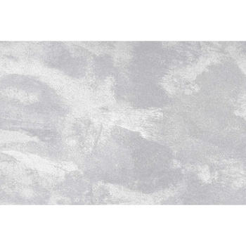 エミネンスタイル2025-2028 ジンクペイント シンコール